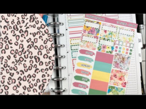 Plan With Me// Wonder Stickers Co// TPC Nation Hybrid Planner