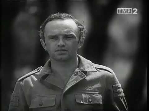 Przygody psa Cywila odc. 2