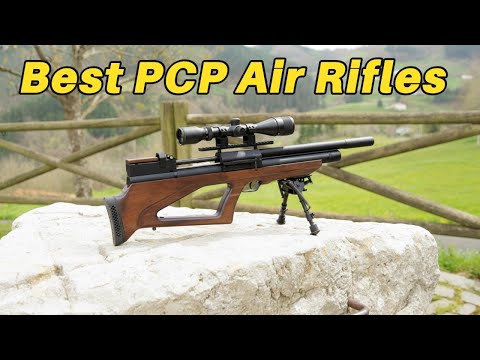 4 Best PCP Air Rifles For Small Game Hunting