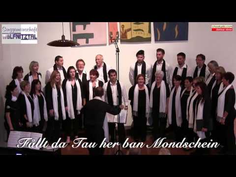 Singgemeinschaft Wölfnitztal - Follt da Tau her - Livemitschnitt 2017