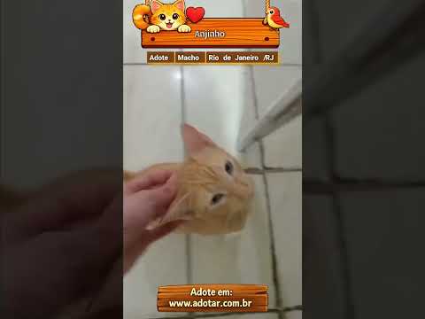 Vídeo de Anjinho