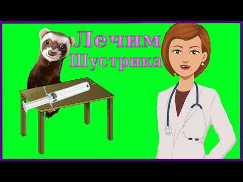 Лечим Хорька!Делаю укол в холку! #Лечимхорька#уколвхолку#