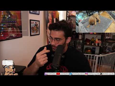 HasanAbi VOD 12 June 2023 Part 1 | Trump Indictment | Ben Shapiro | Trans | AustinShow