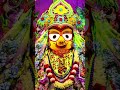 Tu Brahma Daru Jai Jagannath Prabhu Video Viralvideo Viralshorts Jagannath Bhaktistatus Bhakti
