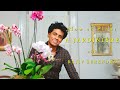 How To Plant An Orchid Jardinière With Rajiv Surendra