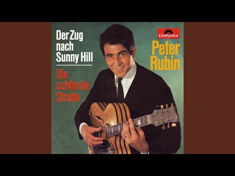 Der Zug nach Sunny Hill