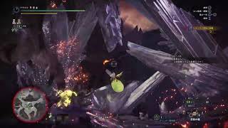 MHW 弓の練習
