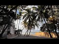 Lone Palm ~ A Jimmy Buffett Cover
