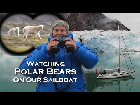 Sailing to 80 Degrees North - Polar Bear Encounter: Ep 7