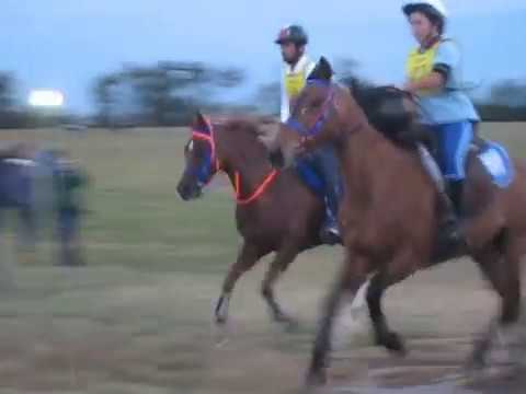 WEG Kentucky USA start 160 km