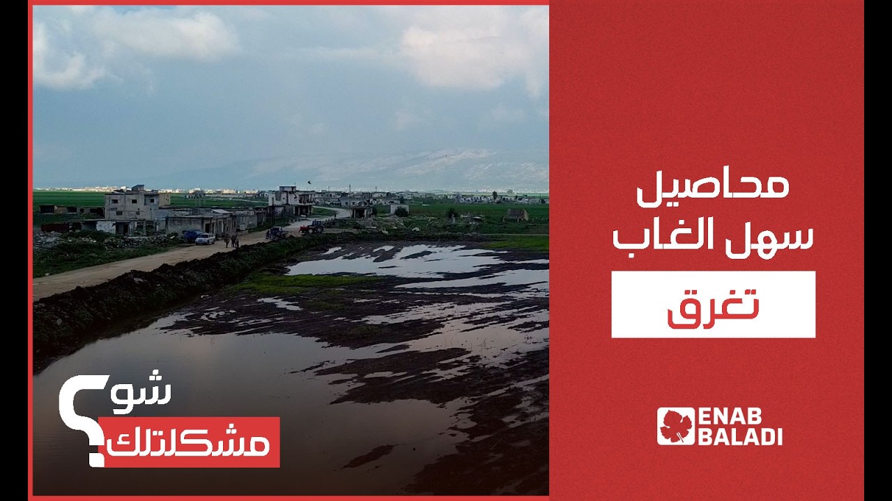 شو مشكلتك.. محاصيل سهل الغاب تغرق