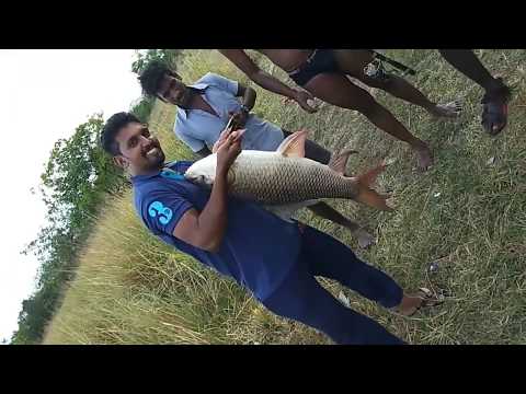 10kg monster rohu fish caught by hook stars