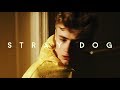 STRAY DOG - a film by bertie gilbert (2013) 