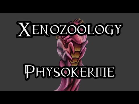 Xenozoology: Physokerme - 40K Theories