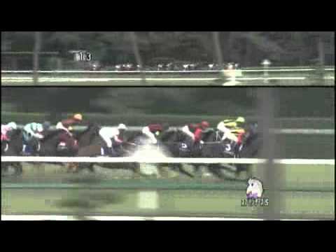 2011 Sprinters Stakes 短途馬錦標