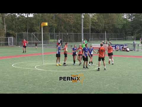 Samenvatting Pernix 1 - VEO 1