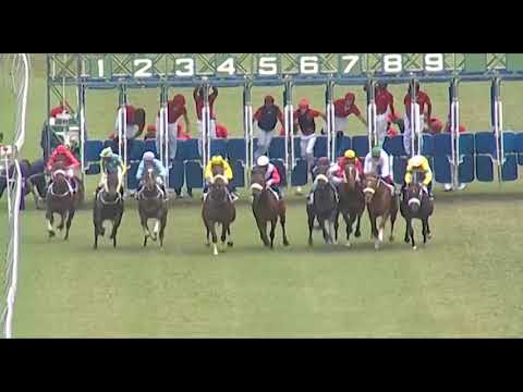 RM13 R1 - Jals Tiger(N.Teeha)