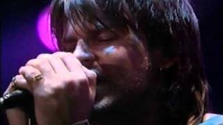 Sunshine and Butterflies Live 1994