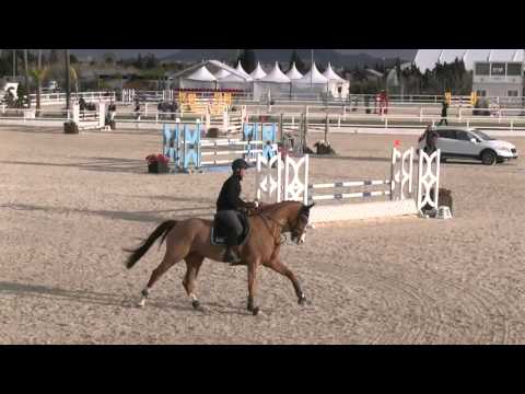 Mcauley Mark riding Foot Loose