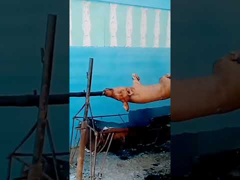 ¿Ésto es Cuba? #turismo #viajar #playa #sanantonio #guantánamo #vlog