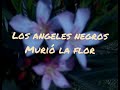 LOS ANGELES NEGRO  murió la flor con letra