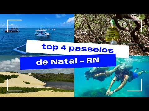 Tudo o que VOCÊ PRECISA SABER sobre os MELHORES PASSEIOS de Natal RN!