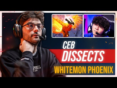 Is Whitemon the BEST PHOENIX 5 in pro?📉