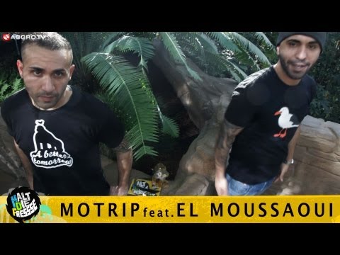 Video thumbnail for Gorilla