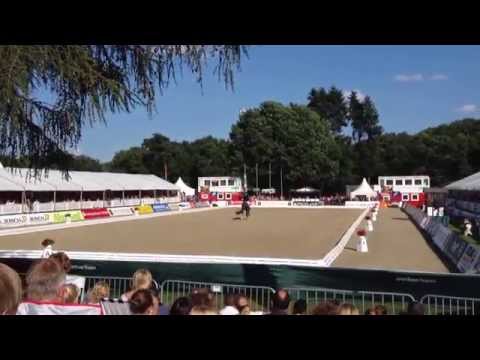 DSP Belantis WM-Finale Fünfjährige Dressurpferde in Verden 2014