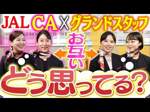JALのCAとグランドスタッフで座談会したら関係性が見えてきました_JAL、サブチャンネルはじめました。