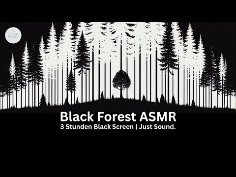 🌲 Just Black Forest – 3 Stunden pure Waldgeräusche | Wind & Blätterrauschen ASMR zum Entspannen