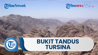 Bukit Tursina, Diabadikan Namanya di Dalam Kitab Taurat, Injil, dan Alquran