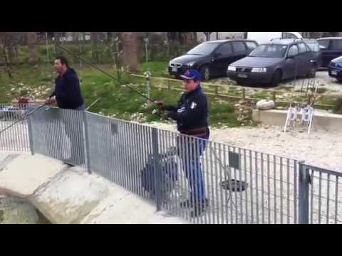 Simone Varanese en "il laghetto del vivaio 2"