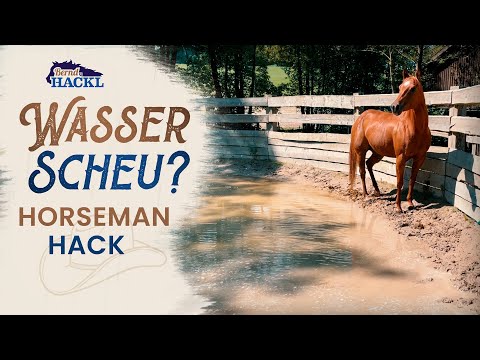 Mein Pferd ist wasserscheu, was tun? 💦🐴 HORSEMAN HACK 🐎