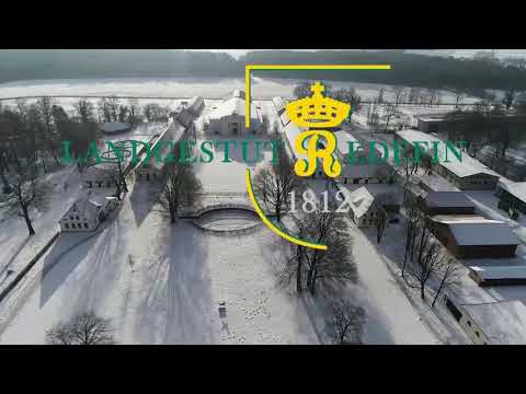 Cornet Animo, Zangerheide, Hengst v. Cornet Obolensky - Animo * 2017