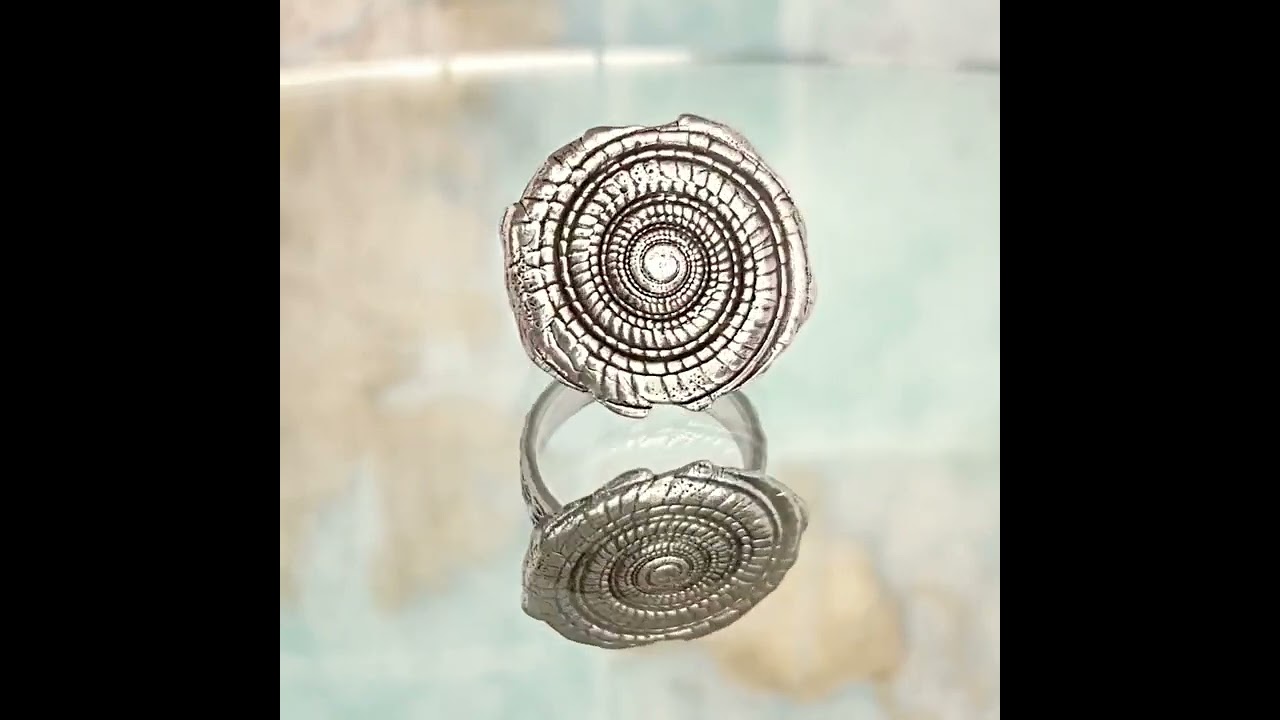 Nautical Spiral Shell