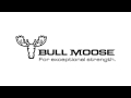 Bull Moose Logo Reveal