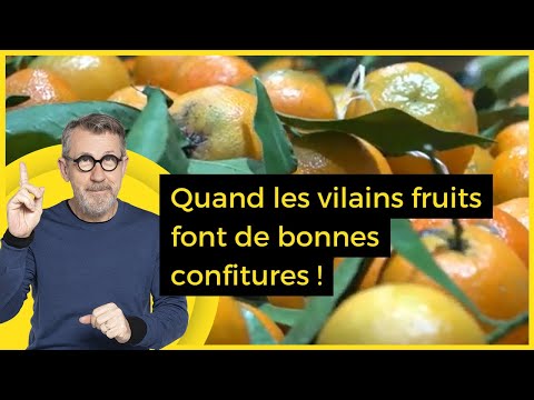Quand les vilains fruits font de bonnes confitures ! - C Jamy
