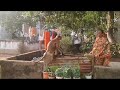Hanuman Returns Hanuman Hanumanji Trending Hanumanjistatus