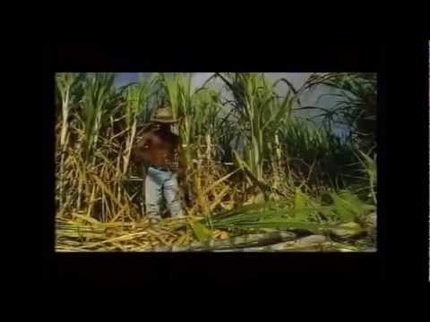 J-Blaz feat Bassman (vinn gwadeloupe2012).wmv