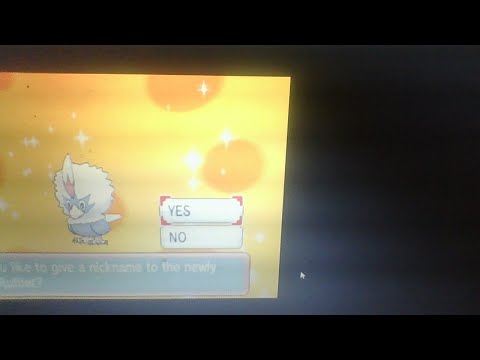 pokemon omega ruby randomizer egglocke part 1 the egg hatching epsiode