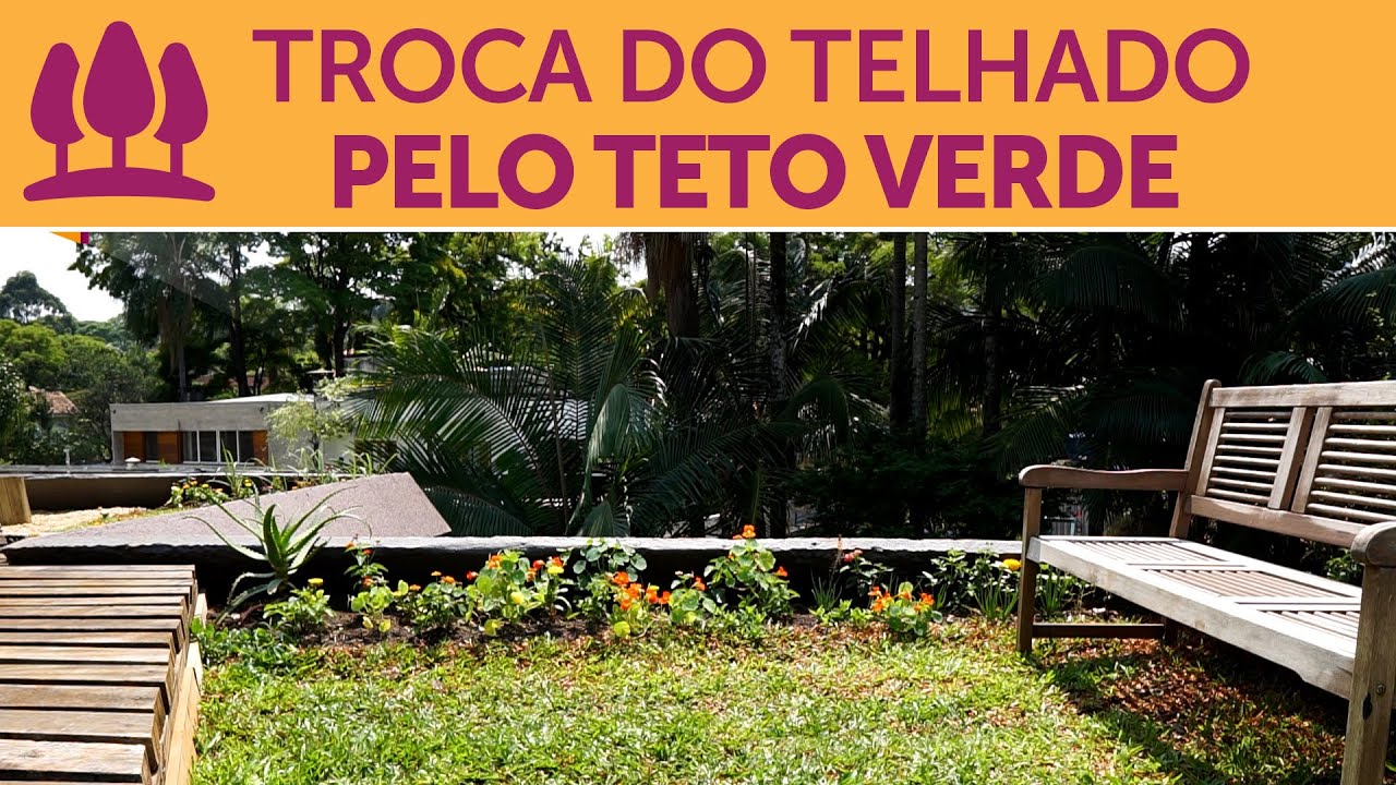 As vantagens em optar pelo teto verde - manutenção e cuidados
