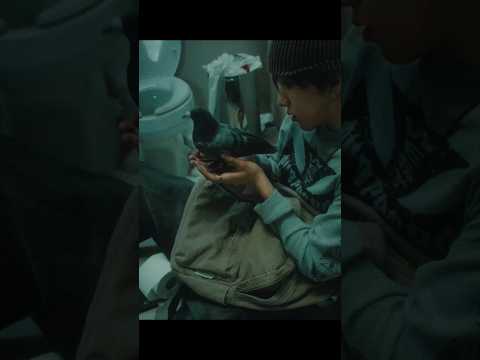 BOYNEXTDOOR [HOME: DELUXE] Concept Film : HAZE ver. #BOYNEXTDOOR #보이넥스트도어 #BND #HOME_DELUXE