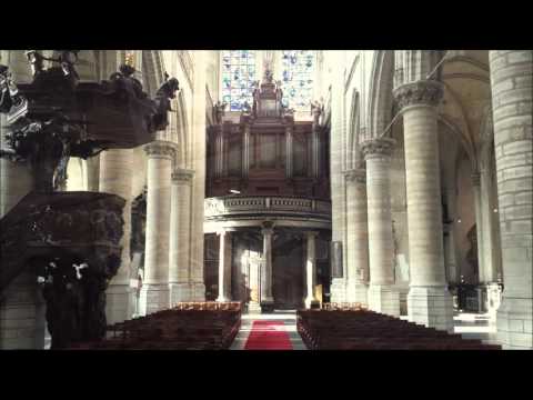 Psalm 36 vers 2 | Kees Verhoek | St. Jacobskerk Antwerpen