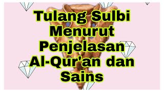 Download lagu Tulang Sulbi Menurut Penjelasan Al Qur'an dan Sains #PERINDU SURGA mp3