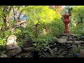 Amazing Japanese Garden: Peace and Balance for 15 Minutes!!