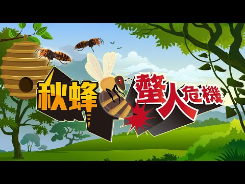 遇到蜜蜂