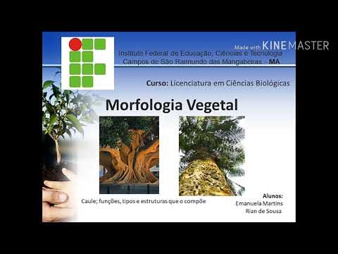 Caule - Morfologia vegetal