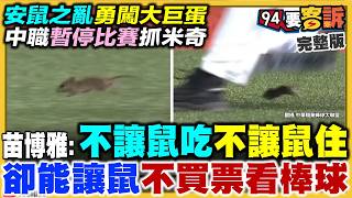 北市鼠患進攻大巨蛋！徐欣瑩把國昌當笨蛋？
