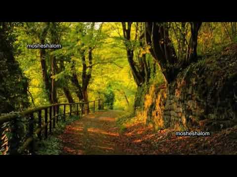 GAD ELBAZ BEIN HATIPOP ENTRE LAS GOTAS BETWEEN THE DROPS SUBTITULOS FONETICA ESPAÑOL